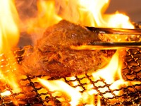 Menu du midi : 6 plats