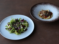 大地 Terra+1 ドリンク付き