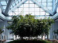 アフタヌーンティー