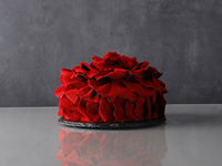 【完売御礼】Rose ローズ 　 