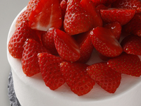 Marriott Christmas Shortcake large size 5