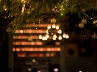 2025 Christmas Dinner