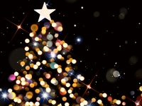 2025.12/20〜12/24【ディナータイム】クリスマスコース