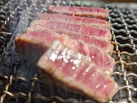 国産黒毛和種牛フィレのコース