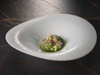 ☀️Lunch Course “b” 全7品×窓側確約コース