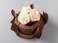 Chocolate Butter Noel