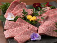 [Recommended] Cow Language Proficiency Course