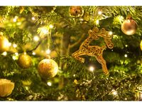 【12/20～25日限定！クリスマスコース】乾杯ドリンク付き！