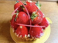 プレミアムタルト-４・５月-おとめ心のタルト12cm