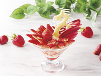 苺のドラゴンパフェ