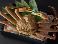 ◆鮨 さえ㐂 五周年特別ディナー 松葉蟹のしゃぶしゃぶを味わう夜コース【乾杯酒ドンペリニョンと希少日本酒3種飲み比べ付き】◆