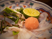 [Counter seat] Special course of natural tiger puffer fish, wagyu beef, and seasonal seafood, around 13 dishes in total