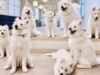 <Weekdays> Regular ticket (50 minutes)