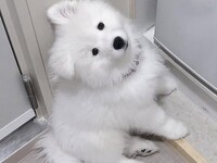 ≪土日祝≫通常チケット（50分）