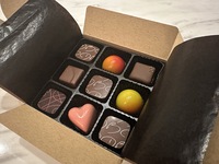 【簡易包装】お試し　9粒