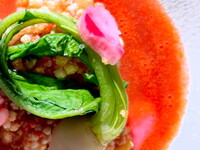 Shiki Course 7 dishes