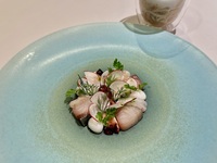 ランチコース Menu Pranzo Gastronomia