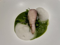 Dinner Menu Cena Speciale