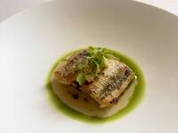 ディナーコース Menu Cena Speciale
