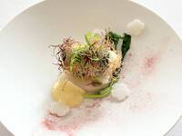 ランチコース Menu Pranzo Speciale