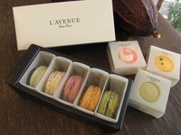 [WD Exclusive] Macarons (5 pieces)