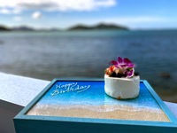 6/9まで【単品ご注文用】オーシャンビーチケーキ