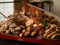 Seasonal Course 【Ukai Selected Beef Sirloin Steak】