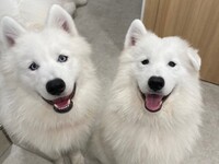 Weekends and Holidays: Regular ticket (50 minutes)