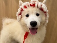 周末及节假日：私人套餐（50分钟）45,000日元