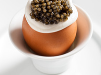 【ディナー/カウンター席】Tasting G 10品　