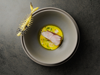 《おまかせコース 》