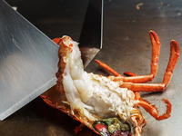 オマール海老と国産牛サーロインのコース