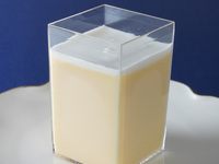 銀座リッチプリン