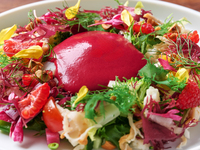 Information for “Symphony of Wellness: Vegetable Dinner”