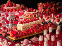 ※【事前決済】4歳以上未就学児 『苺ジャーニー at CAFE TOSCA』+ディナーブッフェ こだわり食材～冬～＜120分＞【2/12限定】