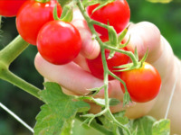 BBQ equipment is fully equipped. Bring your own ingredients course