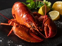 【オマール海老 ディナーコース】全9品