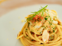 عروض عيد الميلاد الخاصة للأطفال من سن 4 إلى 12 عامًا