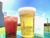 [Equipment rental plan] All-you-can-drink alcohol + soft drinks (up to 5 hours per day)