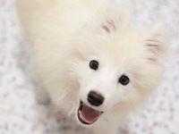 Weekdays: Private plan (50 minutes) ¥25,000