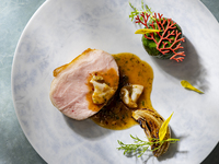  Pleasure 7皿コース