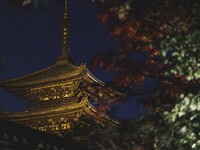 【くろどう】窓際個室確約+ハーフボトル+X'masディナー