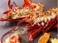 Live Lobster Course