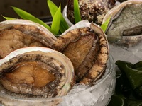 鮑とうかい厳選牛ランチコース【厳選牛サーロイン】