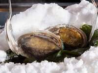 Abalone  &  Beefsteak  Lunch Course 【Ukai Selected Beef Tenderloin Steak】