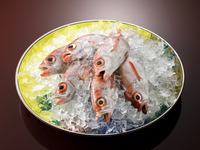 名古屋浅田開業21周年記念会席《ご昼食/個室》