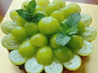 季節のタルト-９月-16㎝