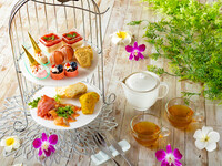 [Plumeria Afternoon Tea] High tea style with recommended snacks and petit fours + free cafe tea with over 20 types of tea