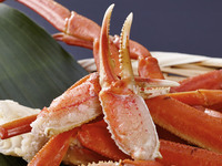 [Prepaid] Add to the buffet♪ Snow crab platter (lunch)
