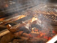 おもてなしコース